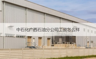 中石化广西石油分公司工资水平与日用电器修理行业薪资对比分析